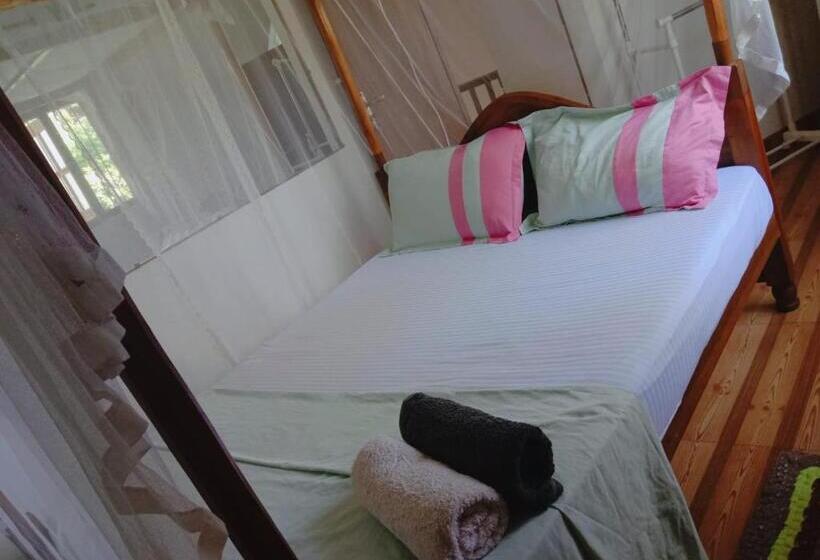 بنسيون Romaclan Villa