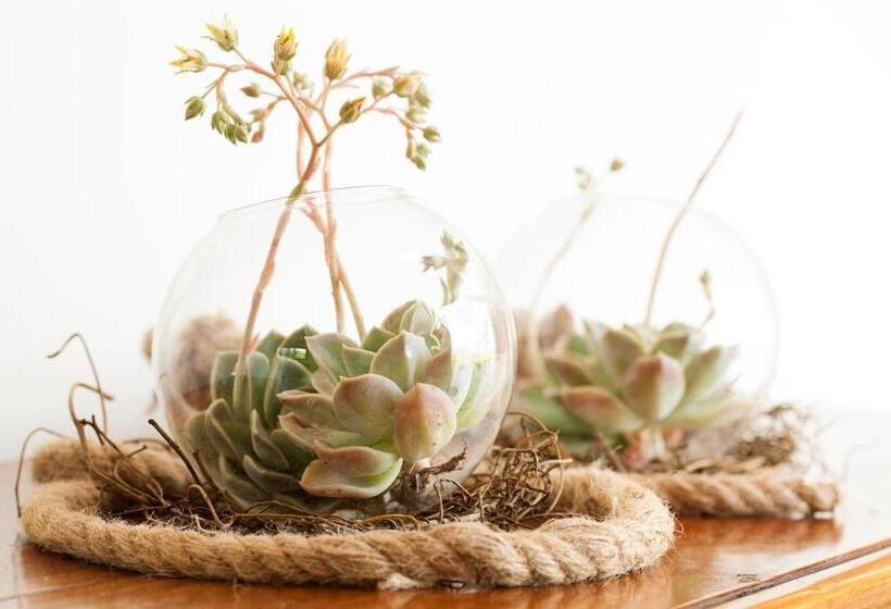 펜션 Rus & Vrede On Vaal