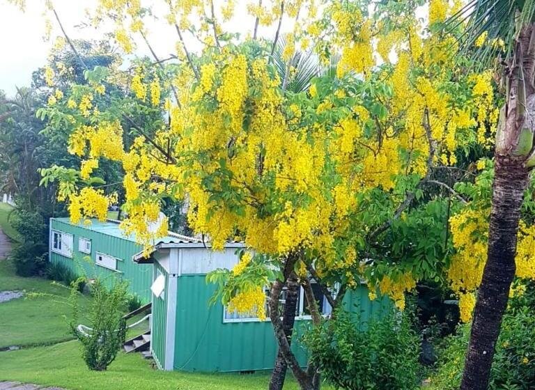 پانسیون Vila Lia