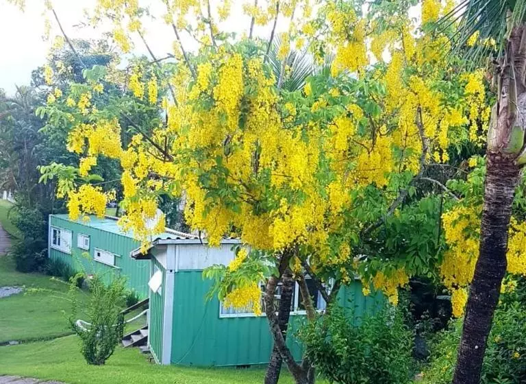 Majatalo Vila Lia