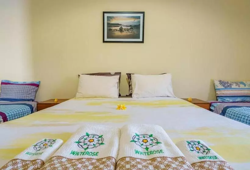 ペンション Whiterose Guesthouse