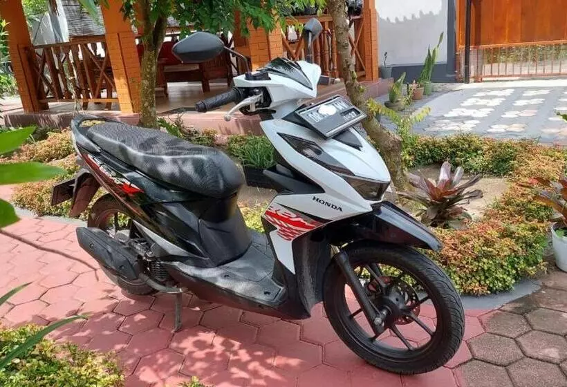 ペンション Whiterose Guesthouse