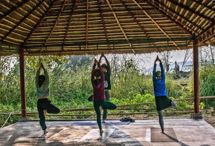 Отель Nature Care Village Rajaji National Park