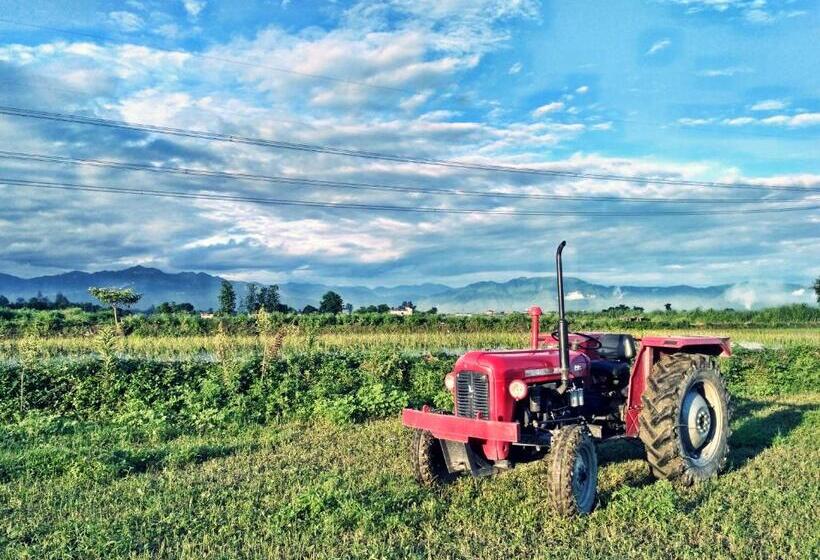 Отель Nature Care Village Rajaji National Park