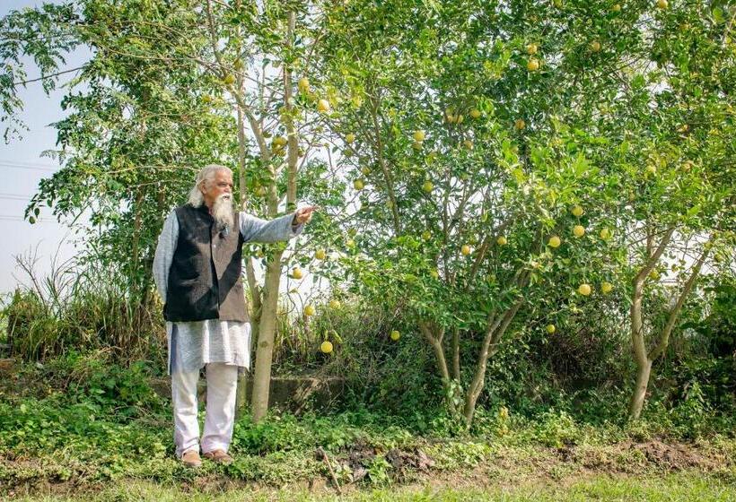 Отель Nature Care Village Rajaji National Park