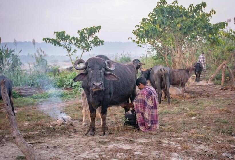 Отель Nature Care Village Rajaji National Park