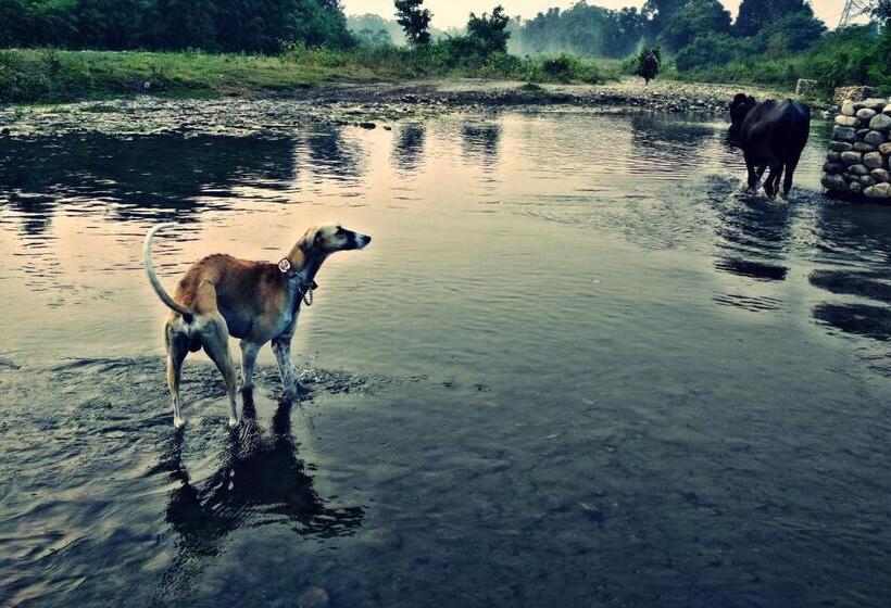 Отель Nature Care Village Rajaji National Park