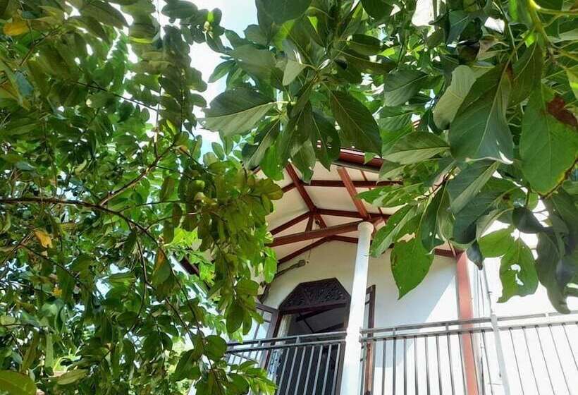 Pensionat Dini Galle