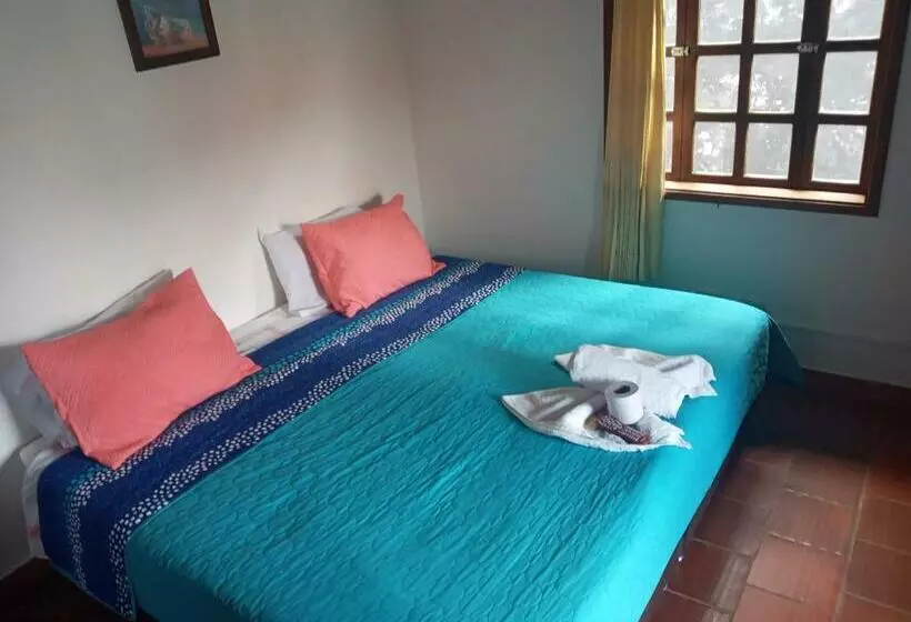 ペンション Hostal El Pino