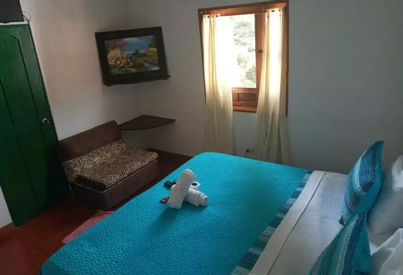 ペンション Hostal El Pino