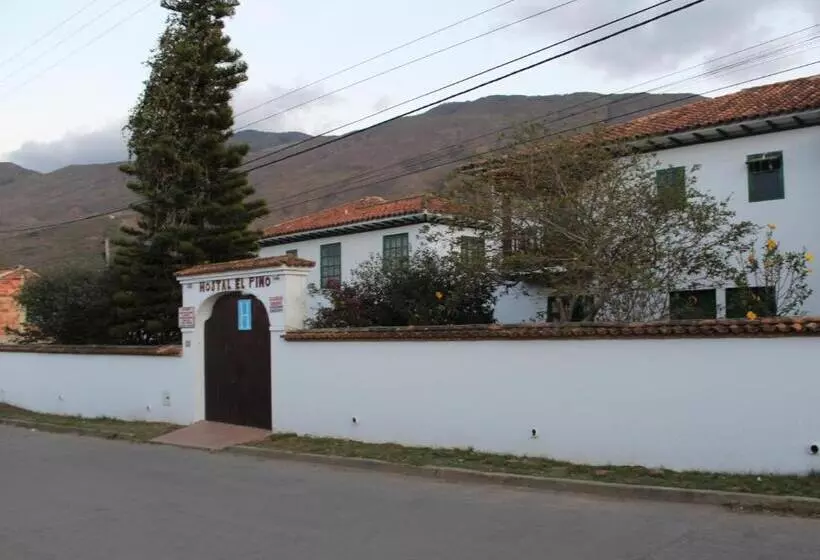 ペンション Hostal El Pino