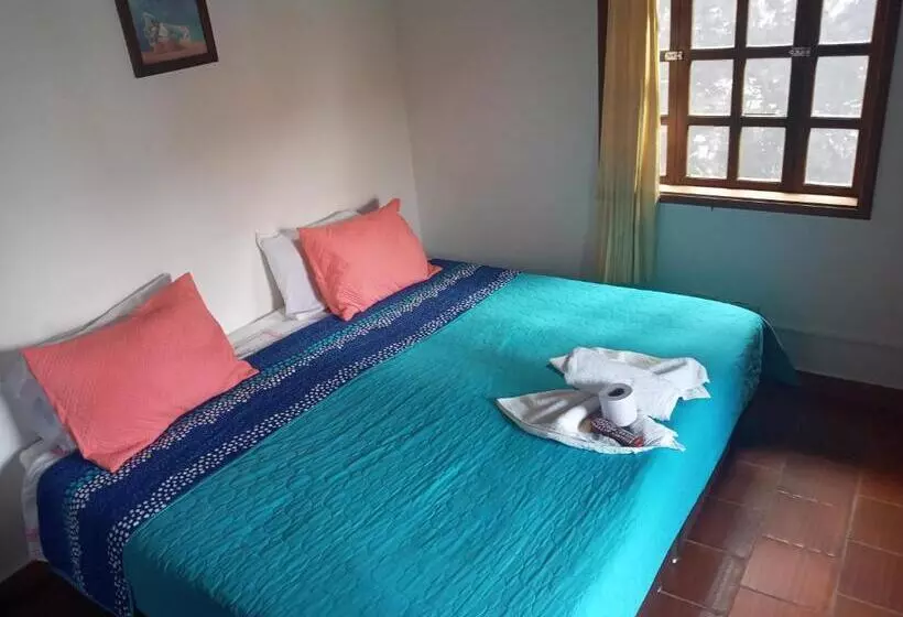 ペンション Hostal El Pino