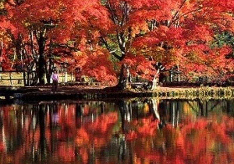 פנסיון Karuizawamura