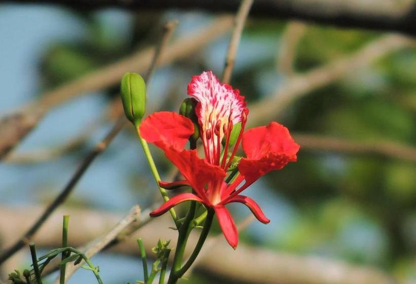 ペンション La Terraza Verde