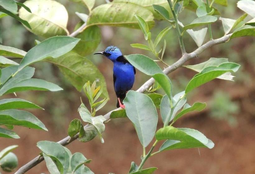 ペンション La Terraza Verde