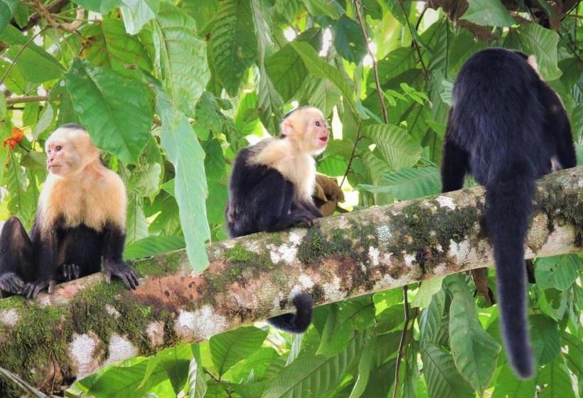 ペンション La Terraza Verde