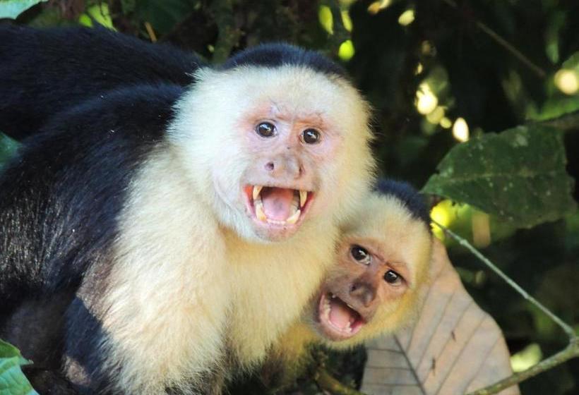 ペンション La Terraza Verde