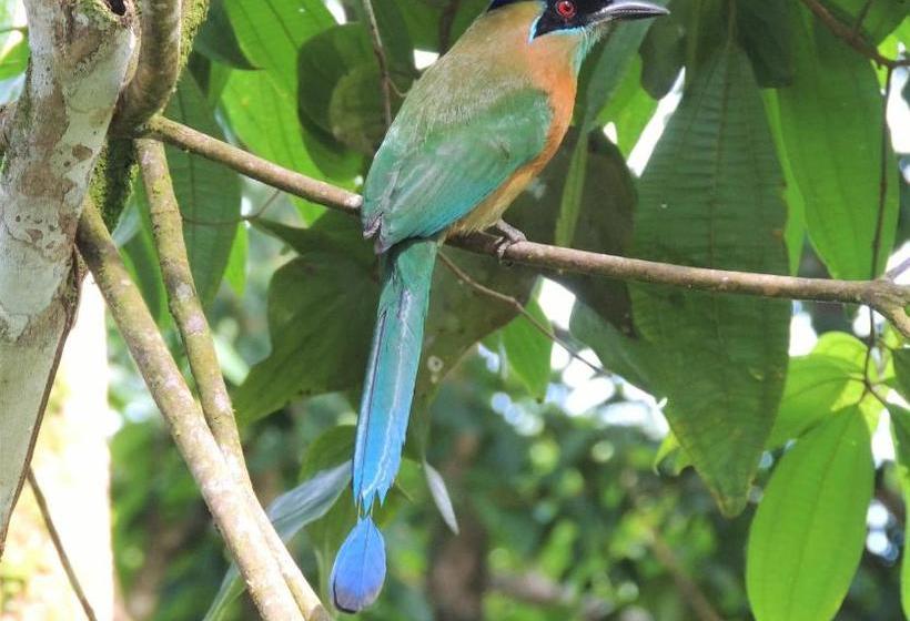 ペンション La Terraza Verde