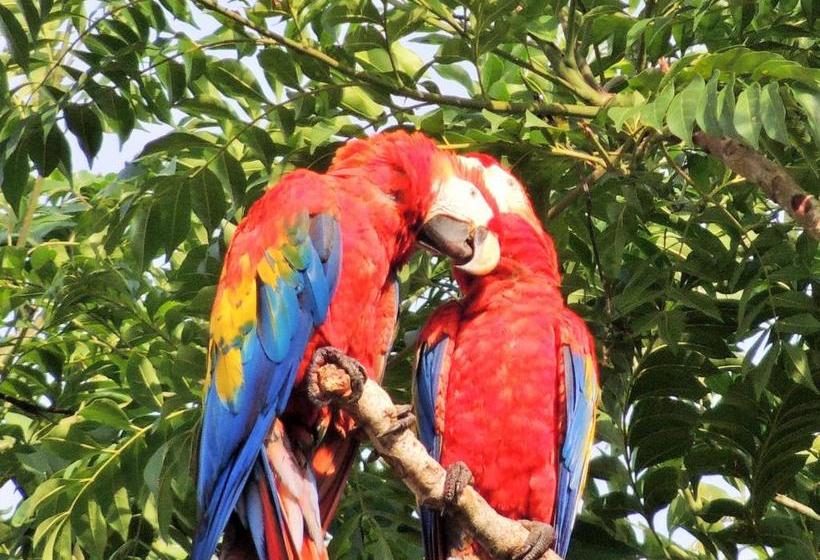ペンション La Terraza Verde