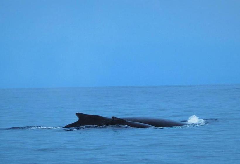 ペンション La Terraza Verde