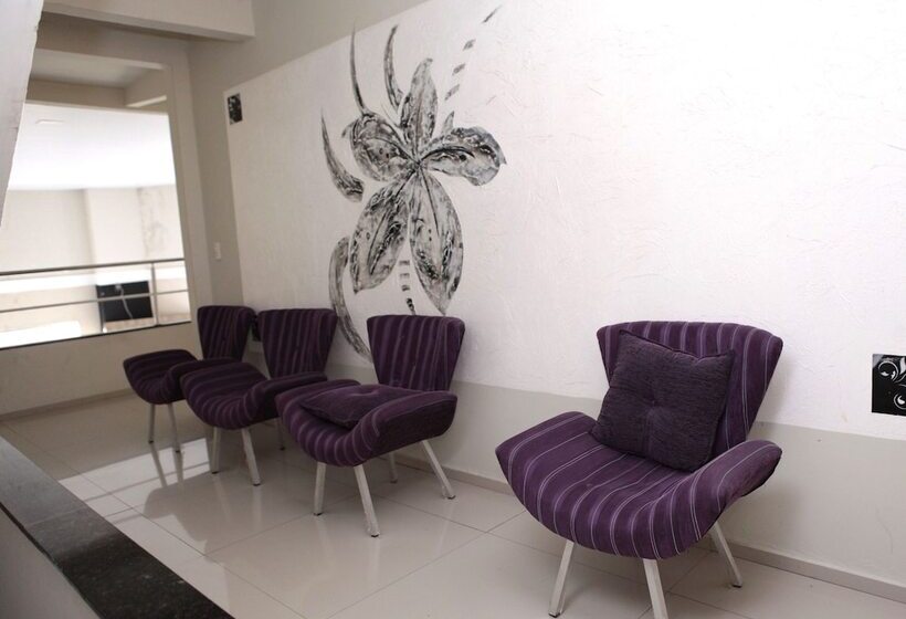 膳宿费 Pousada Moda New