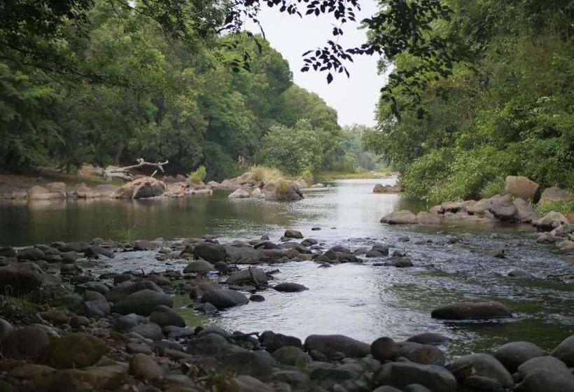 بنسيون Tranquilandia