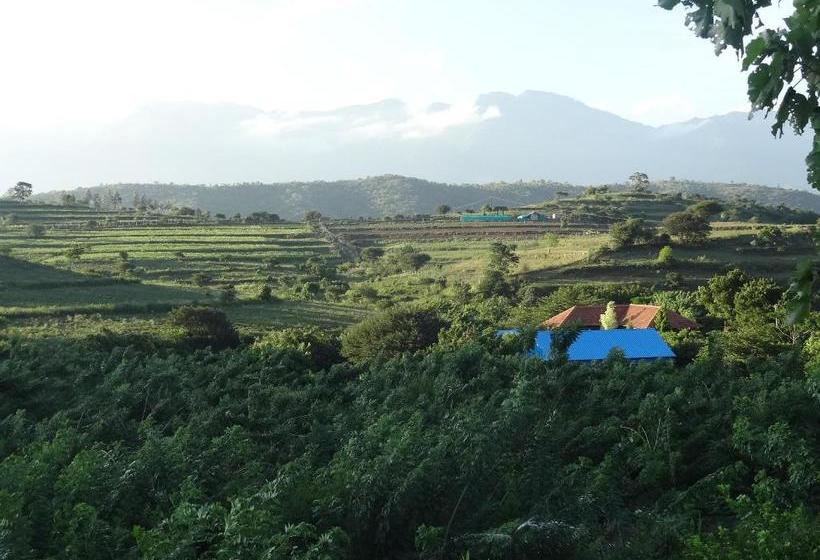 بنسيون Tranquilandia