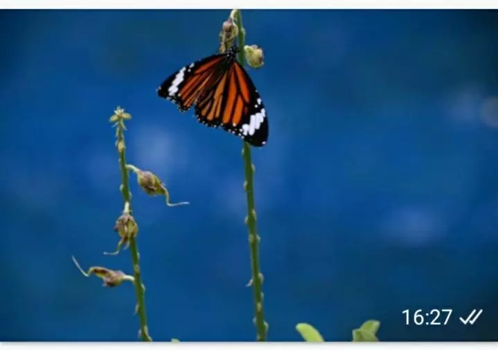 Majatalo Tranquilandia