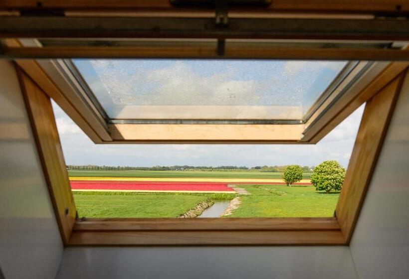 פנסיון Buitenplaats Langewijk