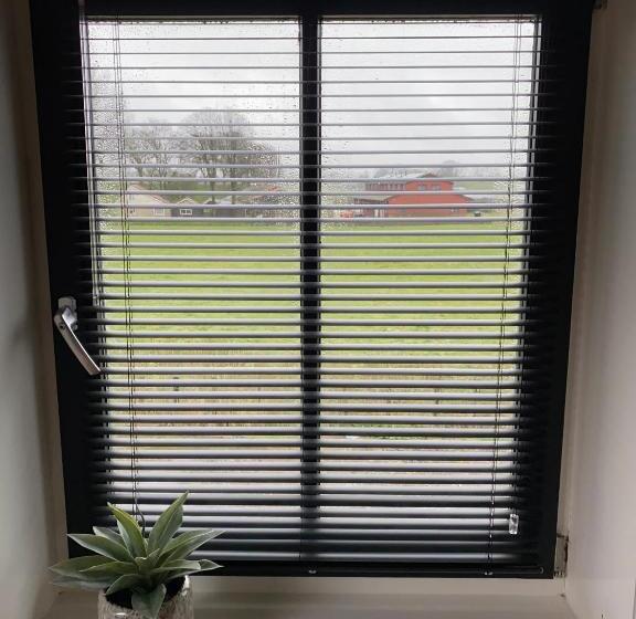 פנסיון Buitenplaats Langewijk