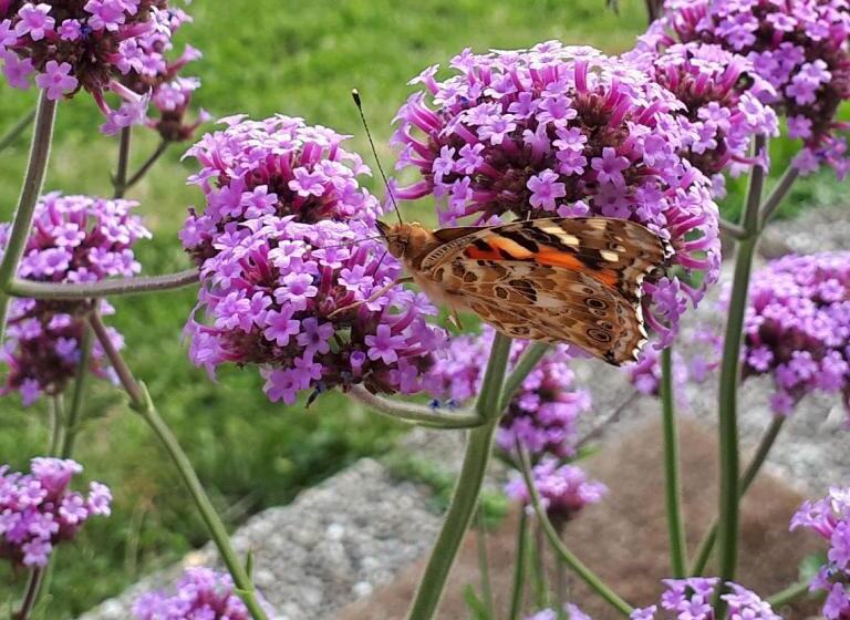 فندق Bio Gesundheitshof Daxinger