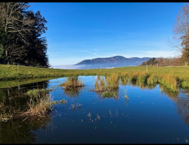 فندق Bio Gesundheitshof Daxinger