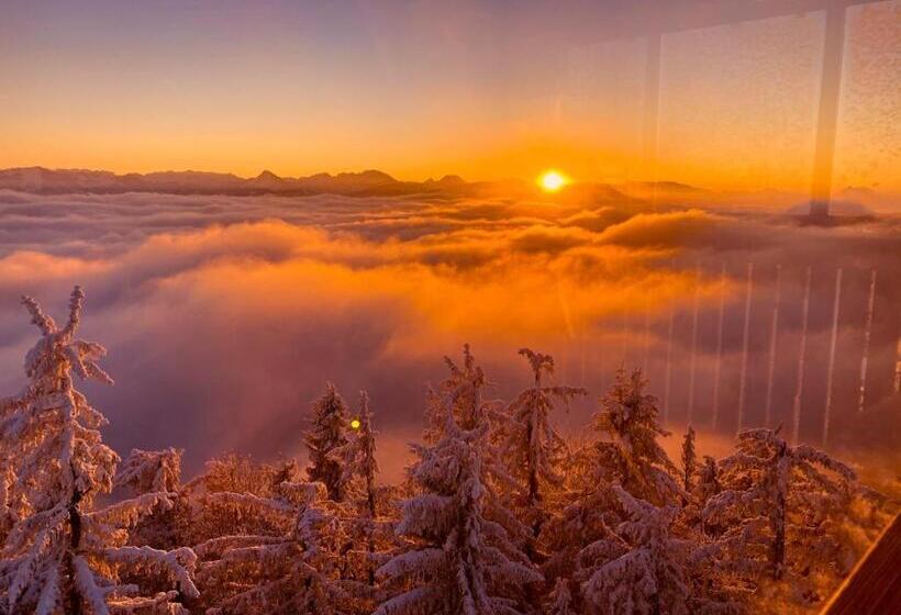 فندق Bio Gesundheitshof Daxinger