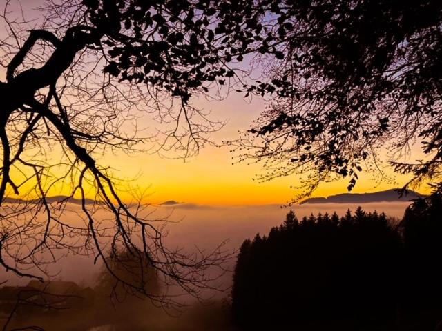 فندق Bio Gesundheitshof Daxinger