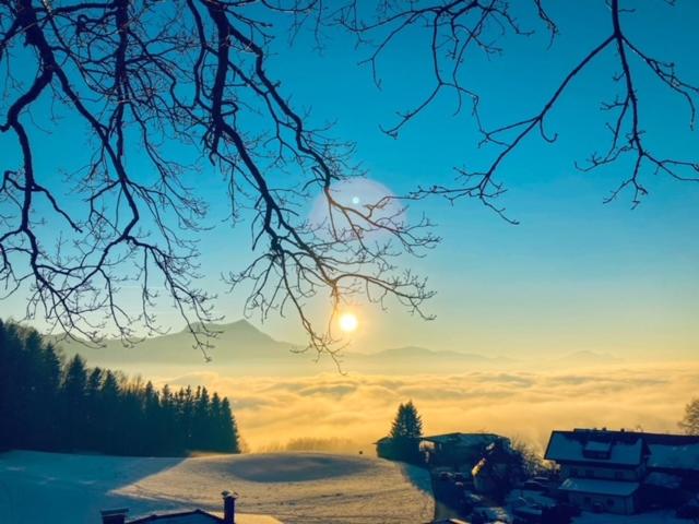 فندق Bio Gesundheitshof Daxinger