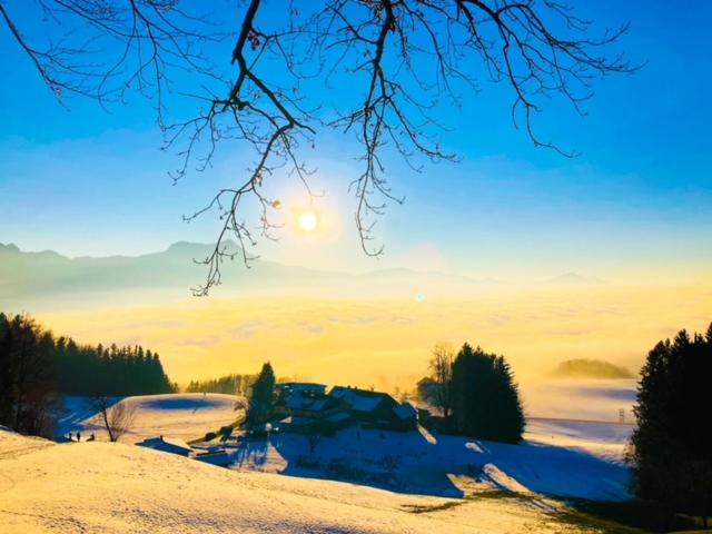 فندق Bio Gesundheitshof Daxinger