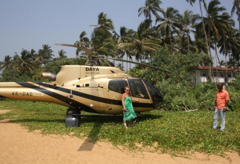 ユースホステル Lily Restaurant And Inn