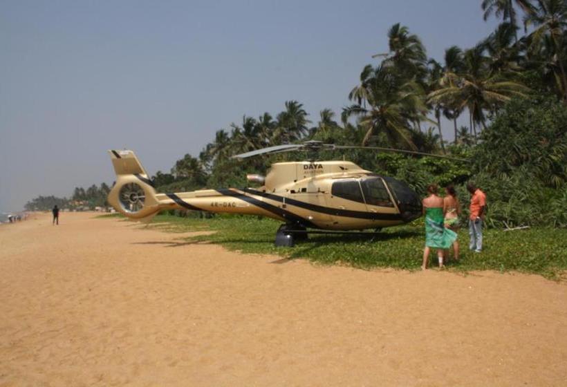 ユースホステル Lily Restaurant And Inn