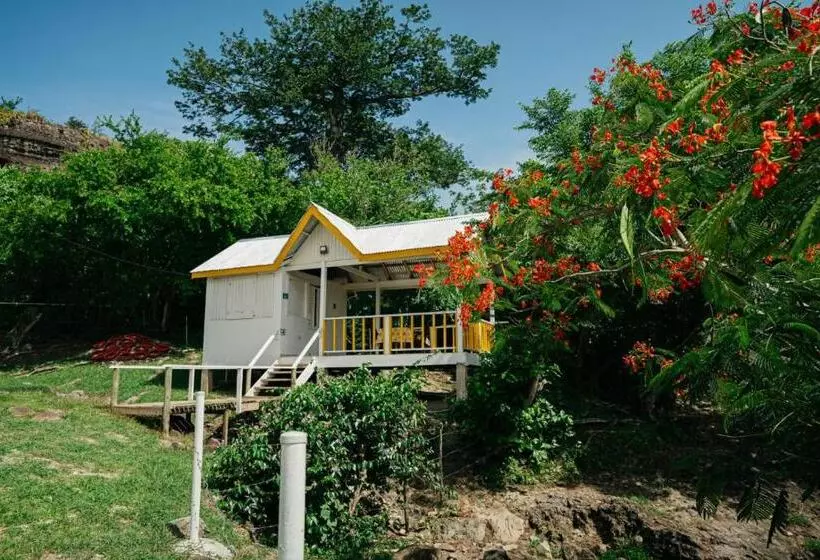 ユースホステル Native Lodge Brisas Del Sur