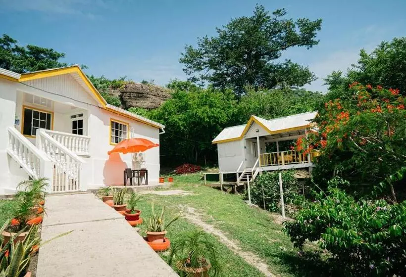 ユースホステル Native Lodge Brisas Del Sur