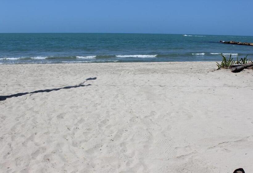 酒店 Camino Palmero Coveñas