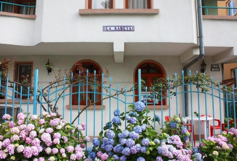 פנסיון La Kameya