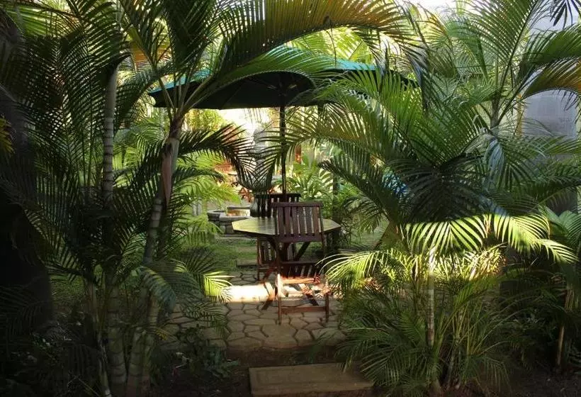 Retkeilymaja Backpackers Inn