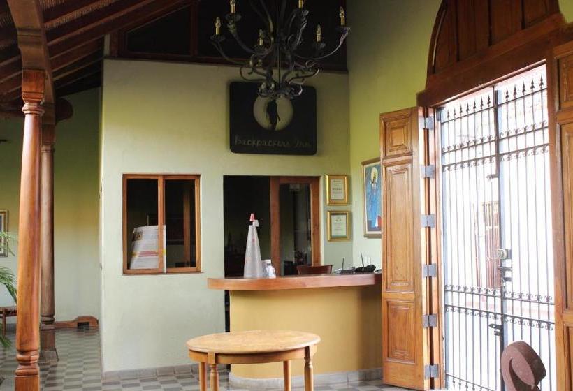 هاستل Backpackers Inn