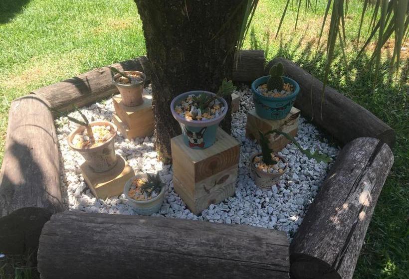 ユースホステル Posada El Paraiso