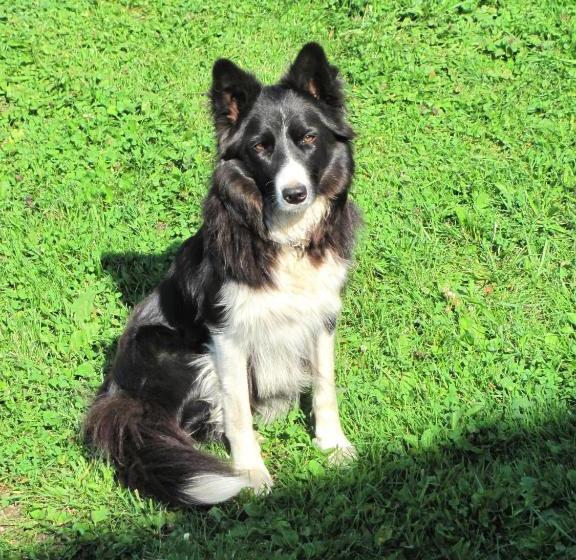 Отель Libiseller Anita Biobauernhof Unterhub