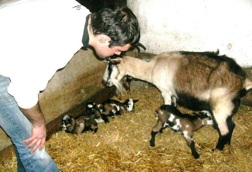 Отель Libiseller Anita Biobauernhof Unterhub