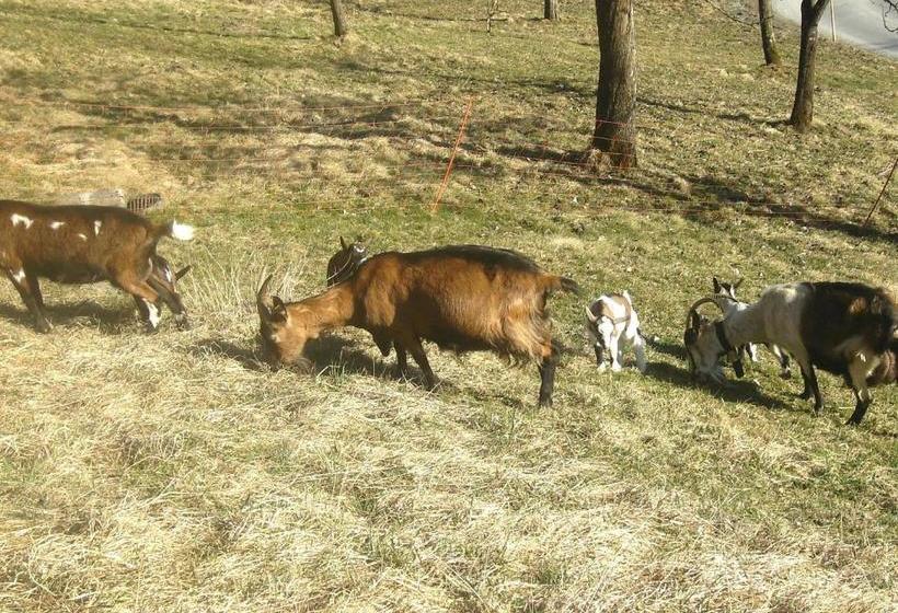 Отель Libiseller Anita Biobauernhof Unterhub