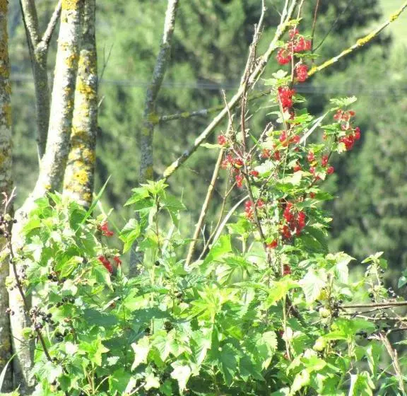 ホテル Libiseller Anita Biobauernhof Unterhub