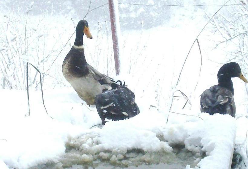 Отель Libiseller Anita Biobauernhof Unterhub